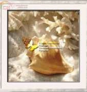 I Love CrossStitch ILCS DG-004 Coral Shell IV XSD