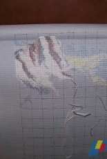 Spruce Mountain Run - 03-192 - StitchWorld X Stitch
