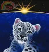 HAESS 4085 Please by Schim Schimmel