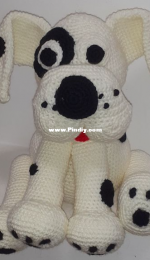 white dog