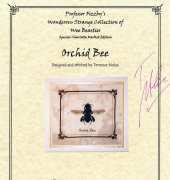 Dimples Design Pangaea - Professor Fizzbys Wonderous Strange Collection of Wee Beasties- Wee Beasties - Orchid Bee