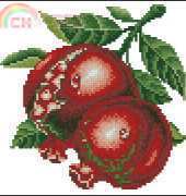 Dome Fruit Grenadine pomegranate