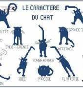 Anagram - Caractere Chat PAT