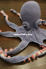 Octopus Claude