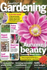Amateur Gardening - 07 October 2017