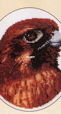 Brown Falcon by Jill Oxton from Jill Oxtons Cross Stitch 41 PCS