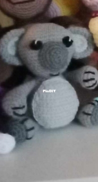 Little koala