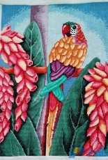 Parrot~~~