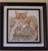 GATO EN SOFA