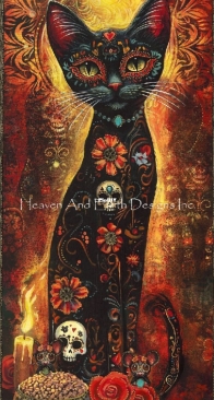 Gratitude - Jeff Haynie for HAED Special Edition