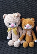 My cats