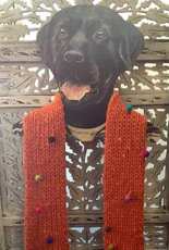 Fringed Candy Deluxe Scarf by Sule Kaya-Free