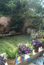 backyard garden----3