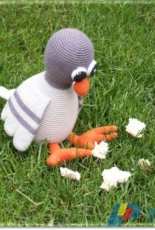 Marie Lize - Yasser Pigeon