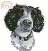 Heritage APJK768 Jake