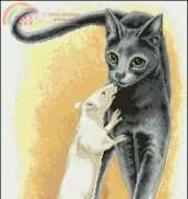 Nastunya 20 Cat and Rat