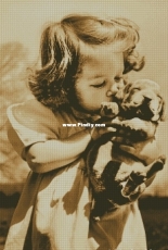 Chimera - Favorite Puppy