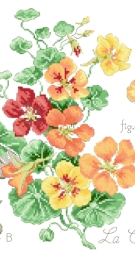 Les Brodeuses Parisiennes - Etude aux Capucines - Capucines Study by V. Enginger PCS10