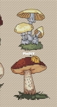 The Cartel of Designers - Mushrooms by Mila Vozhd