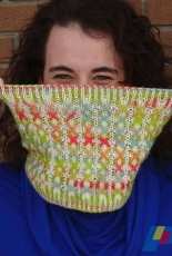 Colour Me Surprised Cowl by Emily Manasc - English, French