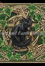 HAED Cat Pentagram