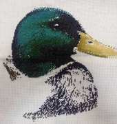 MILLARD DUCK