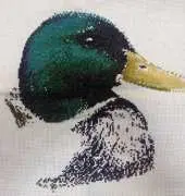MILLARD DUCK