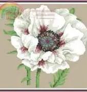 Precious Petals by Maria Diaz from Cross Stitch Collection 211 xsd
