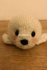 Harp Seal - Rachel Borello Carroll