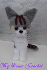Gatto Hanry