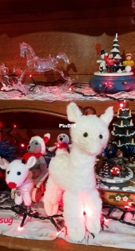 Llama as a gift to my daughter !