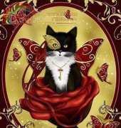 HAE-MED12351 Phantom of the Masquerade
