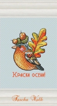 Chaffinch by Tascha Volk - Free