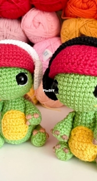 Dear Jacki Stitchery - Jacki Donhou - DeeJay Slow Mo Turtle - English