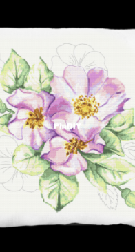 Coricamo - Pillow with Wild Rose