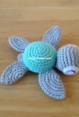 Mini Turtle