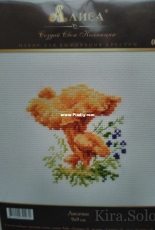 Alisa 0-143 - Chanterelles Mushrooms