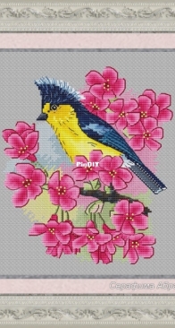 Taiwanese Tit by Serafima Abramova