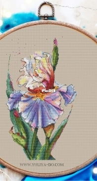 Iris Watercolor by Yuliya Do / Julia Dormidontova