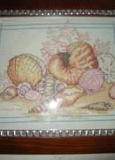 Design Studio 023 0258 Seashells