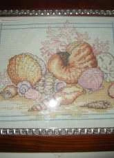 Design Studio 023 0258 Seashells