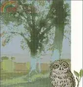Anchor CC83552 Natures Owl XSD