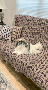 Kathryn Clark Crochet - Crochet by Kathy - Kathryn A. Clark - Knitted with Crochet Set