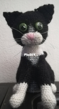 The Black Cat
