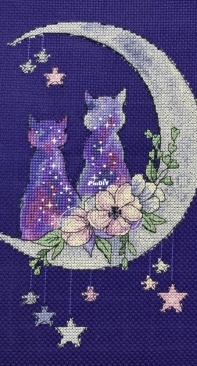 Star Cats by Vitaliya Mishchuk