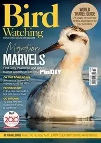 Bird Watching UK - October 2025