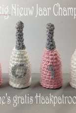 Yvonne Blanker - Happy New Year Champagne - Dutch - free