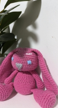 Little rabbit