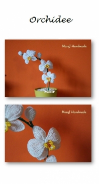 Yvonnes Crochet Art - Yvonne Blanker - Orchid - Orchidee - Dutch