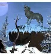 HAED HAEAUL 210 Howling by Auz Larocque